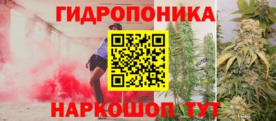ПСИЛОЦИБИНОВЫЕ ГРИБЫ Апшеронск