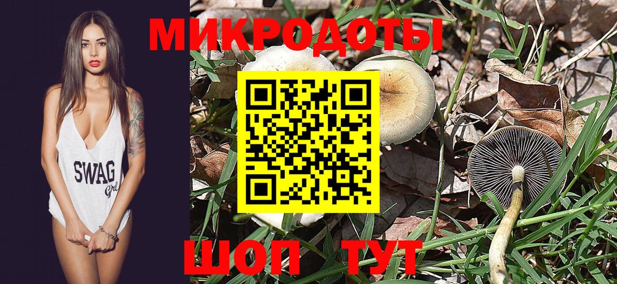 Галлюциногенные грибы Psilocybine cubensis Благодарный
