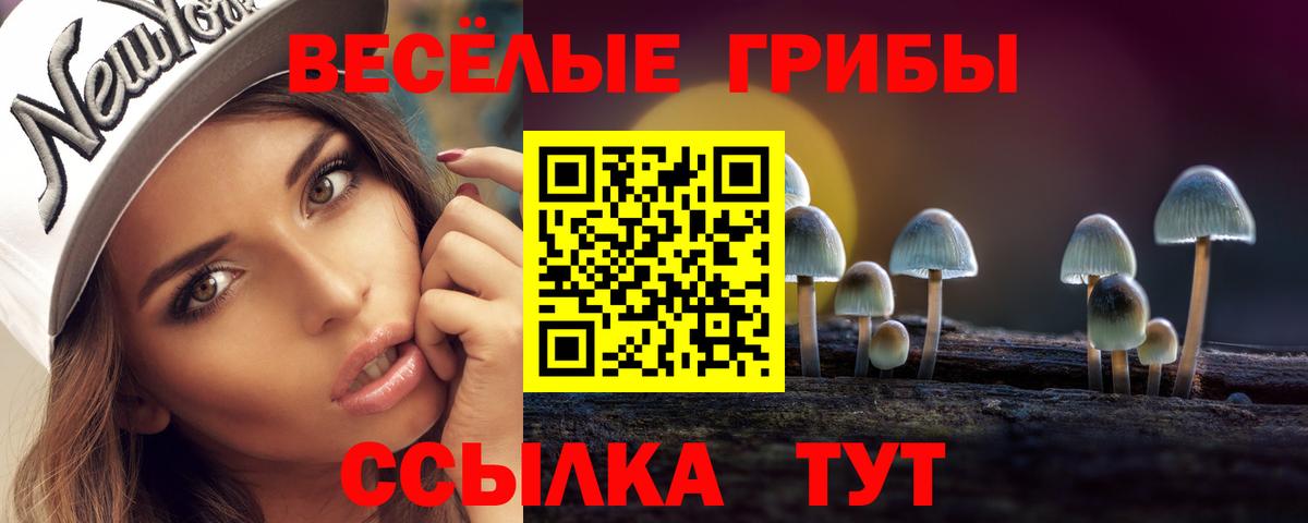 Галлюциногенные грибы Psilocybe  Галлюциногенные грибы ЛСД  Вход с VPN  Благодарный 